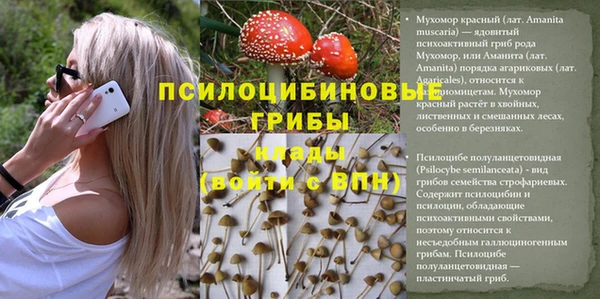 марки lsd Вязники